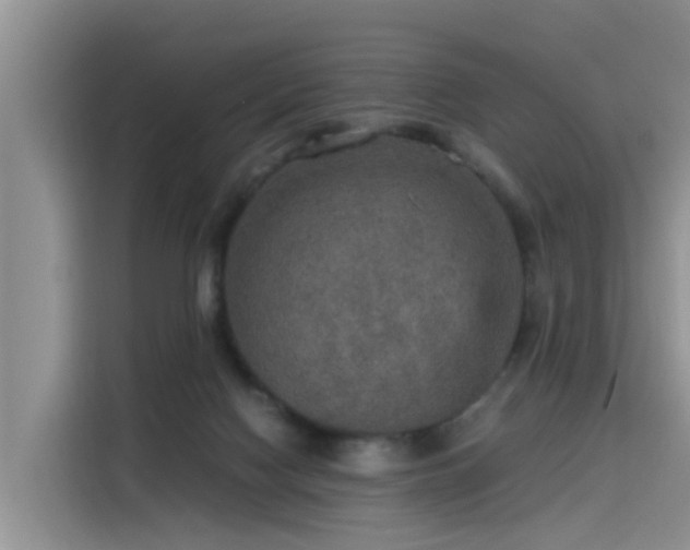 X0000115580074200911171018