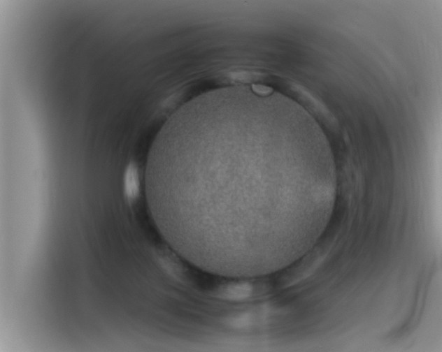 X0000115580075200911171018