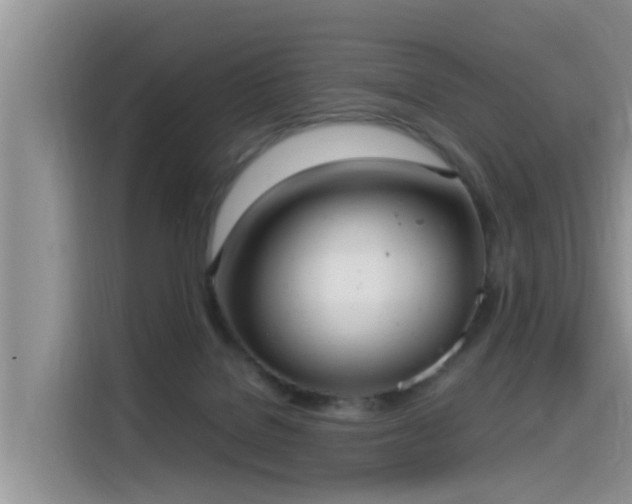 X0000115580076200911171018