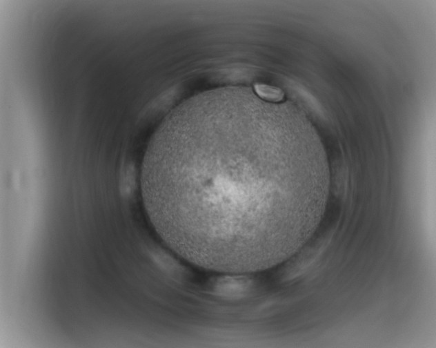 X0000115580077200911171018