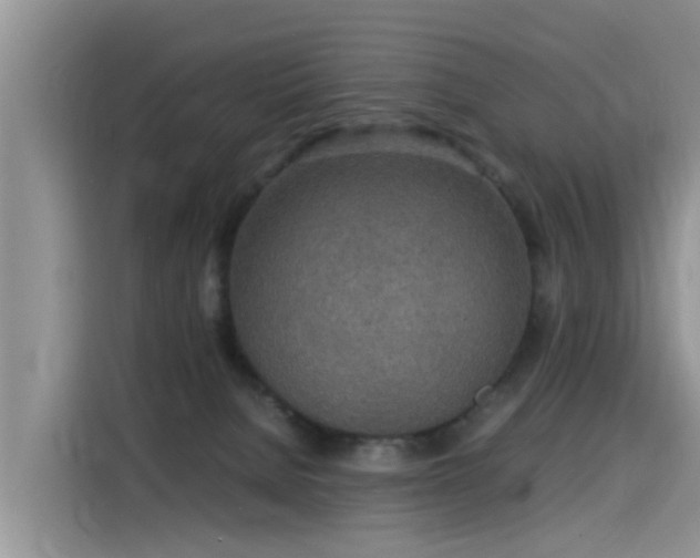 X0000115580080200911171018