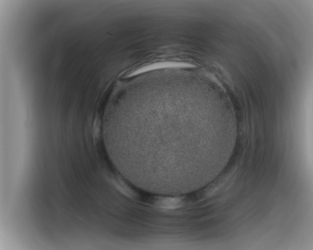 X0000115580081200911171018