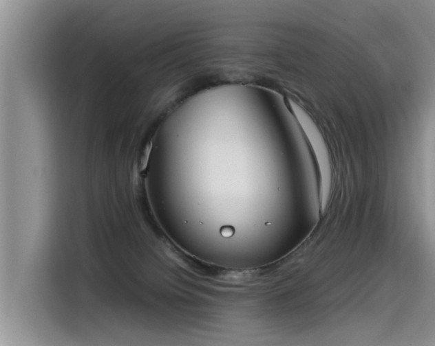 X0000115580084200911171018