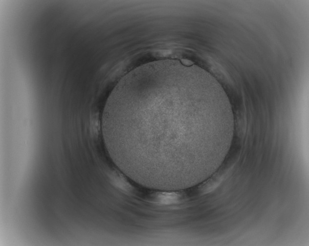 X0000115580085200911171018