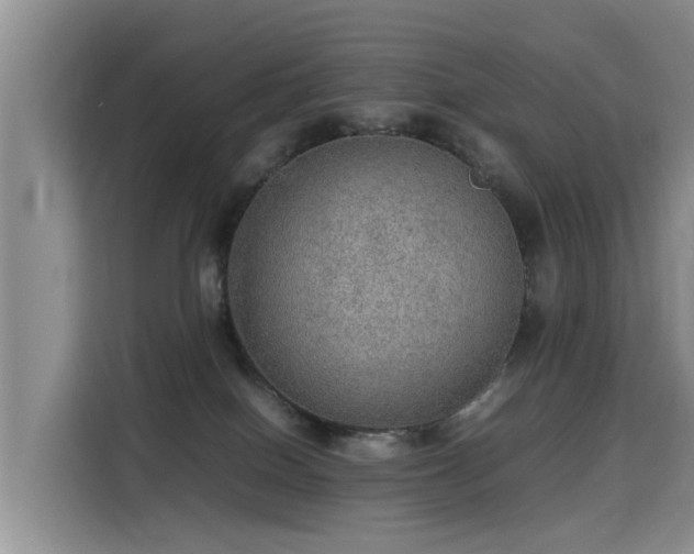 X0000115580086200911171018