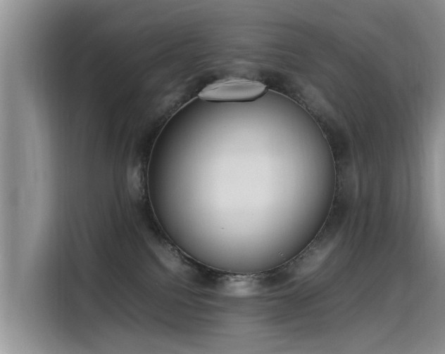 X0000115580088200911171018