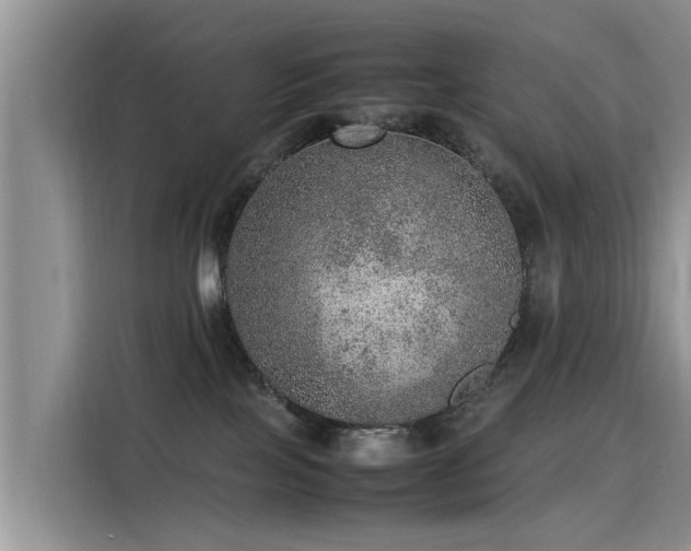 X0000115580089200911171018