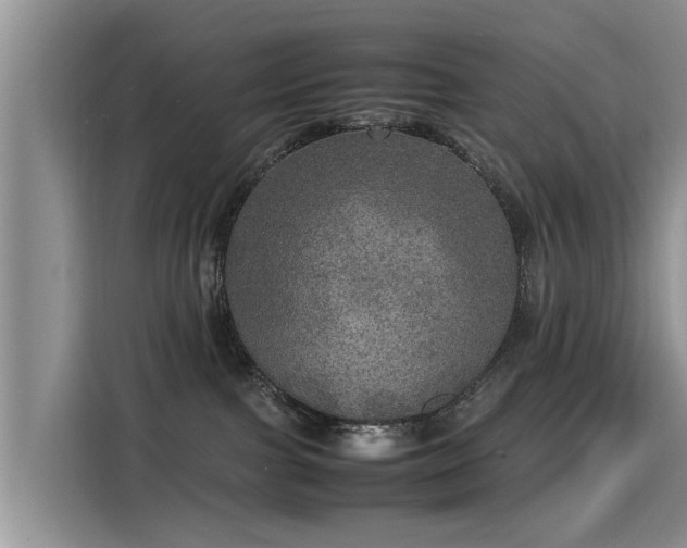 X0000115580091200911171018