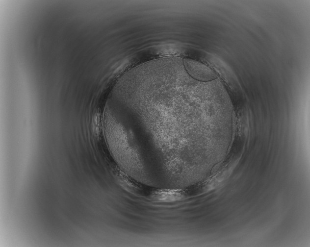 X0000115580093200911171018