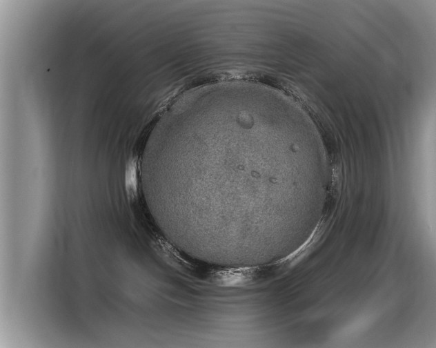 X0000115580094200911171018