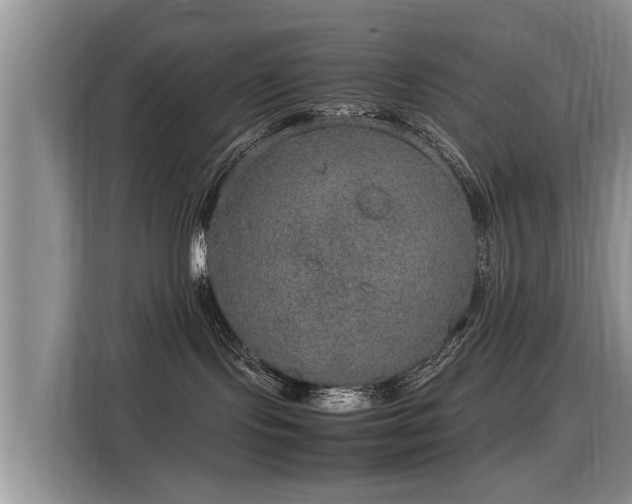 X0000115580095200911171018