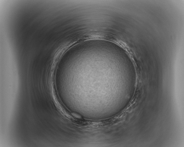 X0000115580097200911171018