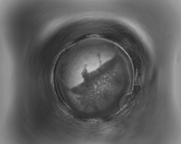 X0000115580099200911171018