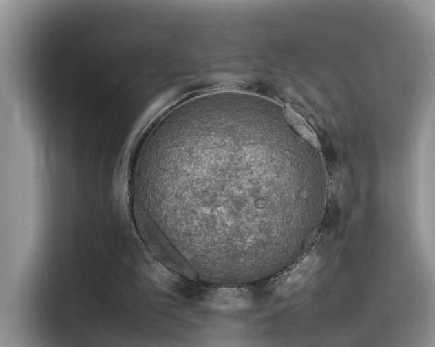 X0000115580101200911171018