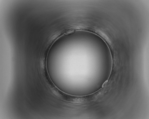 X0000115580105200911171018