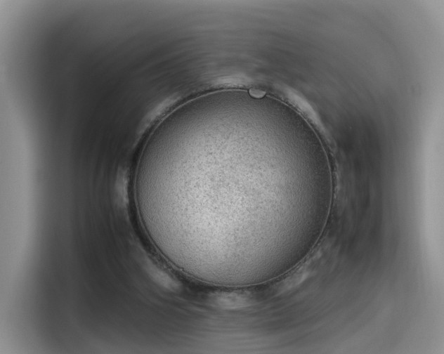 X0000115580106200911171017