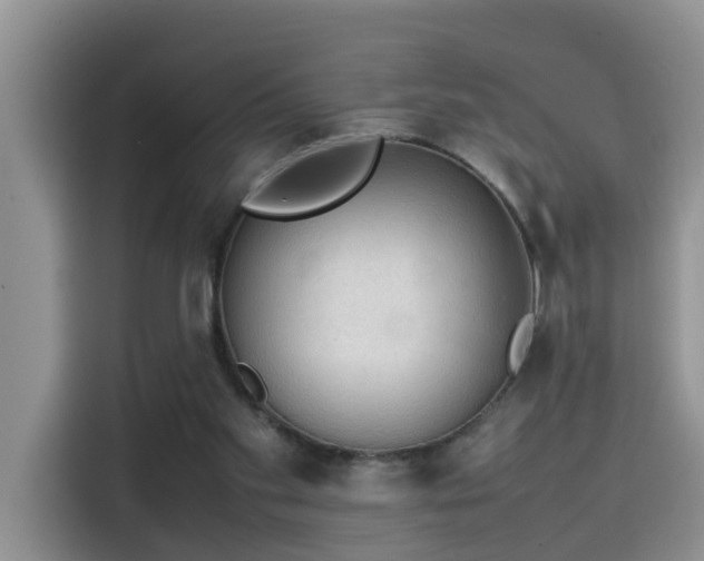 X0000115580109200911171017