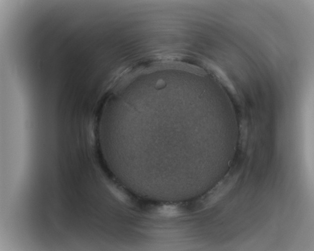 X0000115580114200911171017