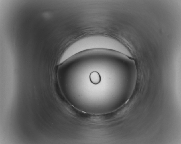 X0000115580117200911171017