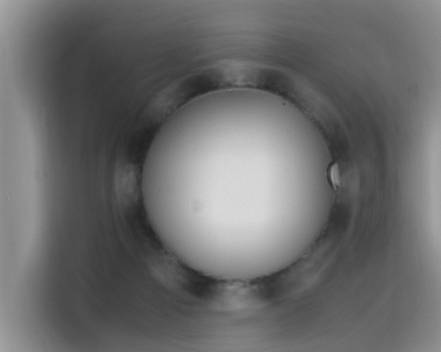 X0000115580121200911171017