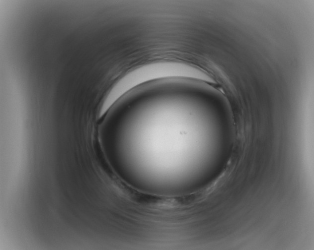 X0000115580124200911171017