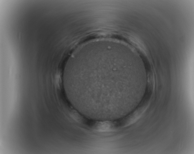 X0000115580127200911171017