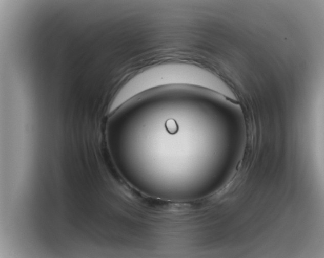 X0000115580128200911171017