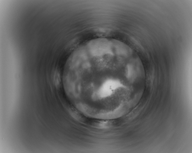 X0000115580130200911171017