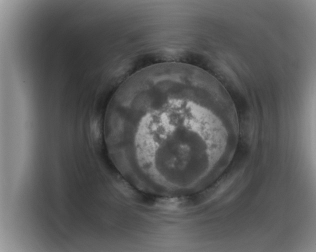 X0000115580131200911171017