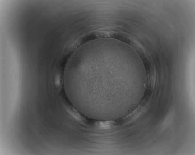 X0000115580134200911171017