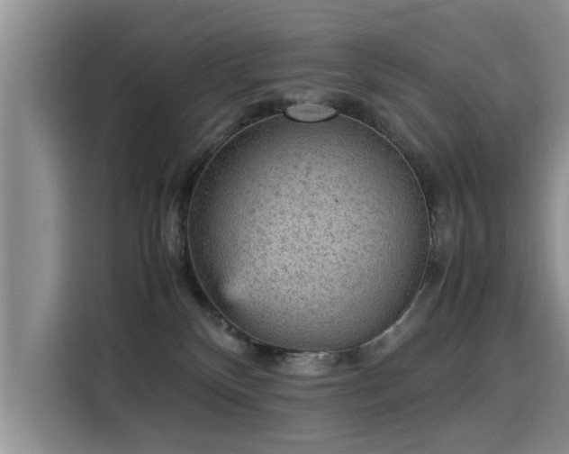 X0000115580136200911171017