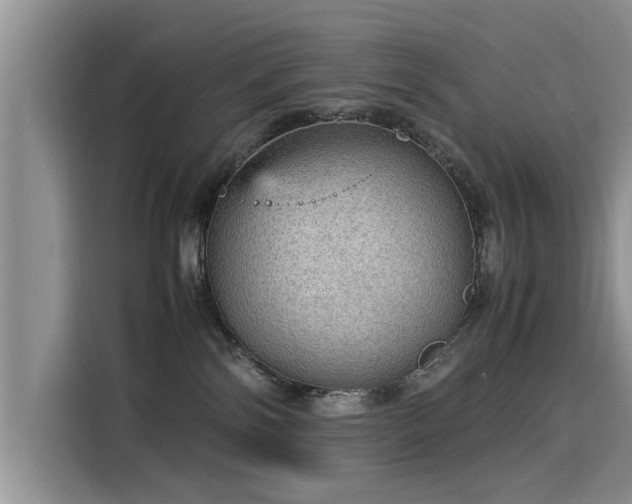 X0000115580138200911171017