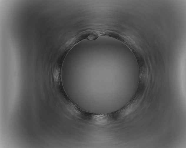 X0000115580139200911171017