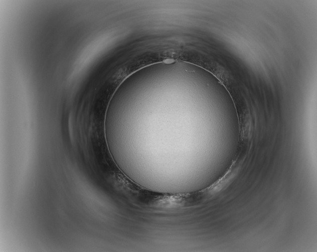 X0000115580140200911171017