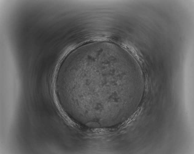 X0000115580145200911171016