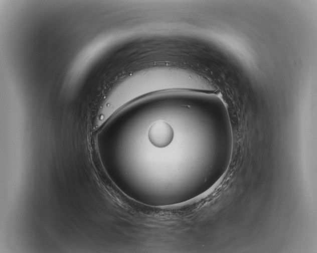 X0000115580146200911171016