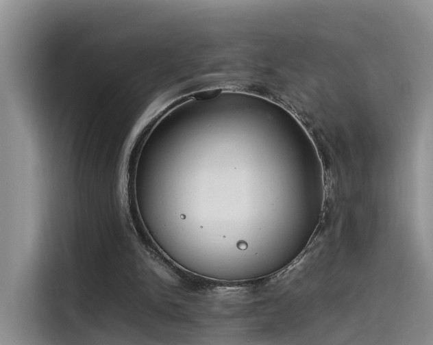 X0000115580150200911171016