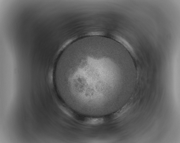 X0000115580155200911171017