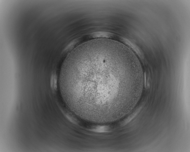 X0000115580157200911171017