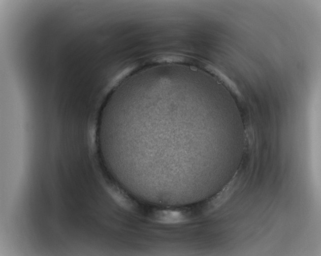 X0000115580159200911171017