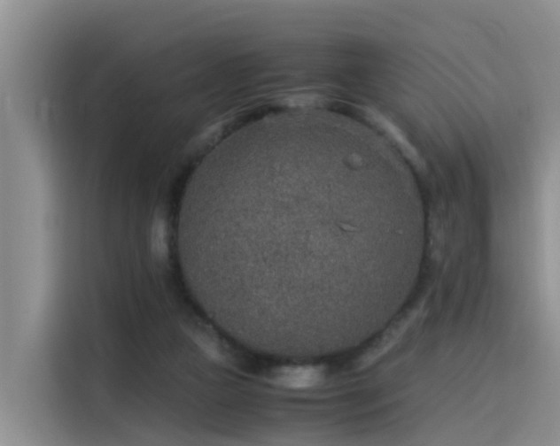 X0000115580161200911171017