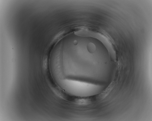 X0000115580163200911171017