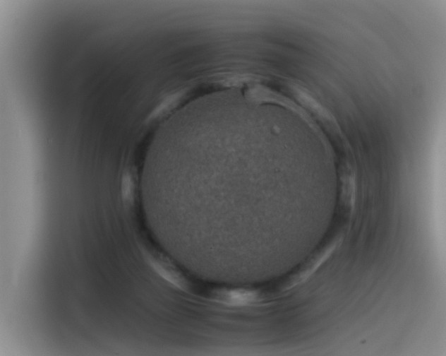 X0000115580165200911171017