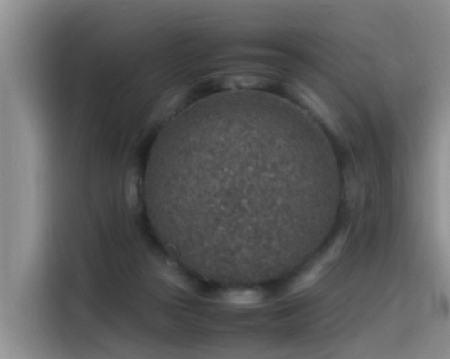 X0000115580169200911171017