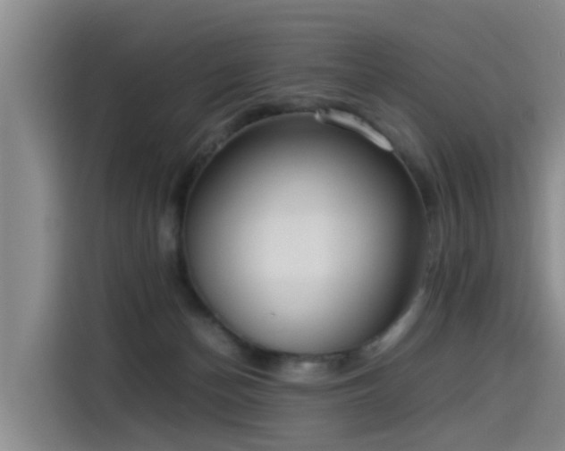 X0000115580174200911171017