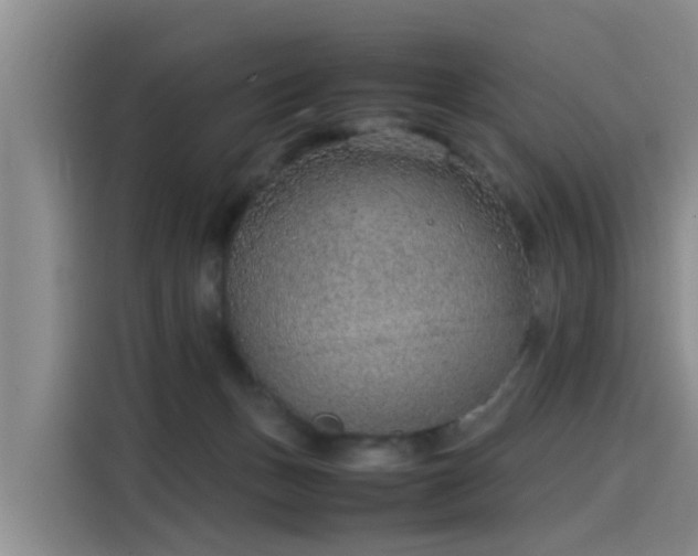 X0000115580175200911171017