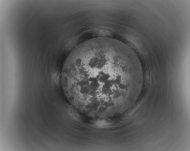 X0000115580177200911171017