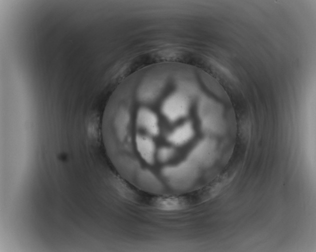 X0000115580181200911171017