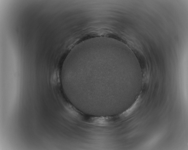 X0000115580182200911171017