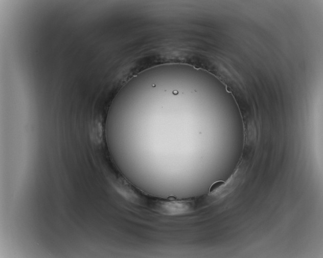 X0000115580183200911171017